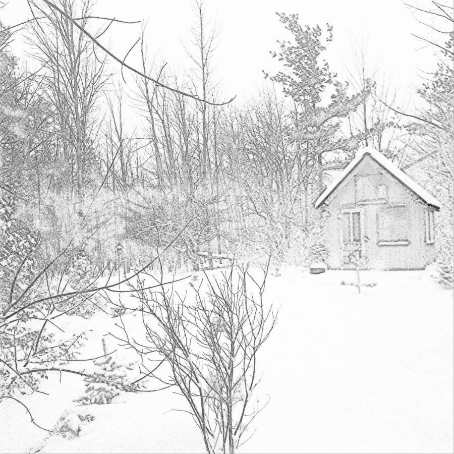 The Retreat House Blue Mountain Hotel Blue Mountains Exterior foto